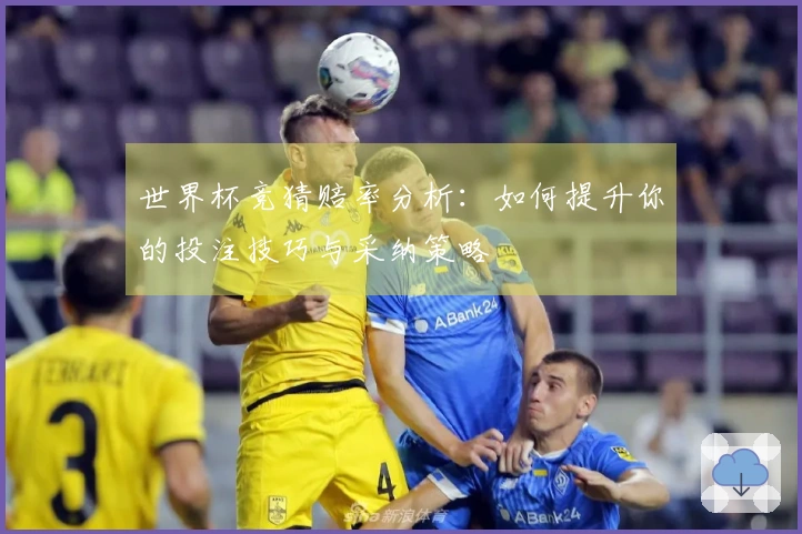 世界杯竞猜赔率分析：如何提升你的投注技巧与采纳策略