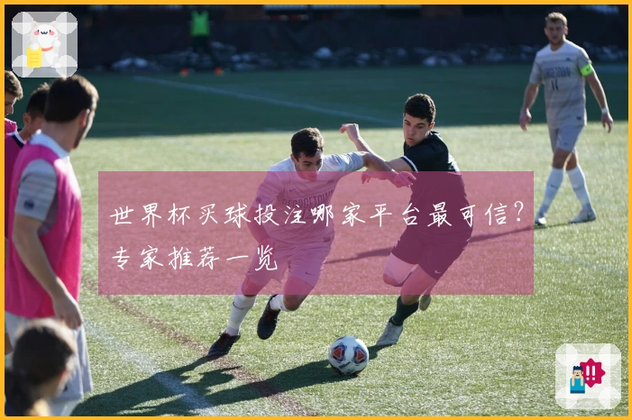 世界杯买球投注哪家平台最可信？专家推荐一览