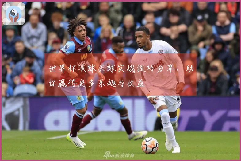 世界杯滚球买球实战技巧分享，助你赢得更多乐趣与收益