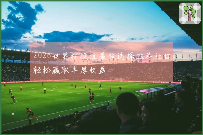 2026世界杯投注最佳选择推荐让你轻松赢取丰厚收益
