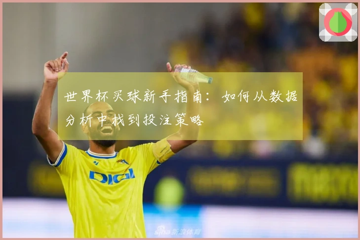 世界杯买球新手指南：如何从数据分析中找到投注策略