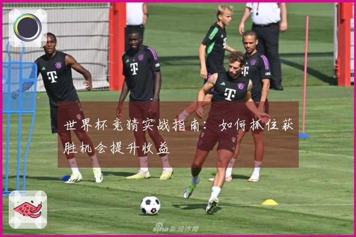 世界杯竞猜实战指南：如何抓住获胜机会提升收益