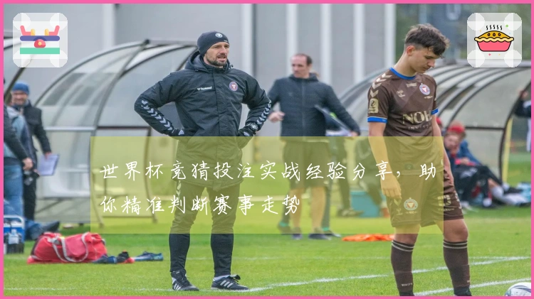 世界杯竞猜投注实战经验分享，助你精准判断赛事走势