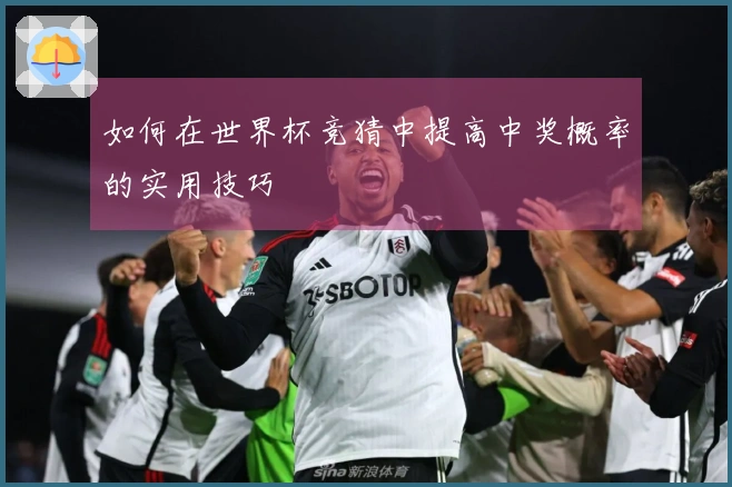 如何在世界杯竞猜中提高中奖概率的实用技巧