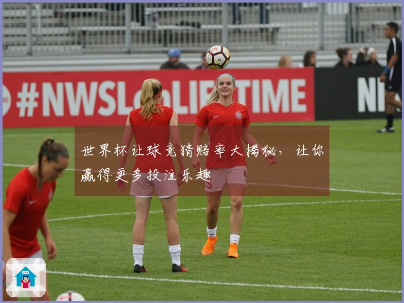 世界杯让球竞猜赔率大揭秘，让你赢得更多投注乐趣