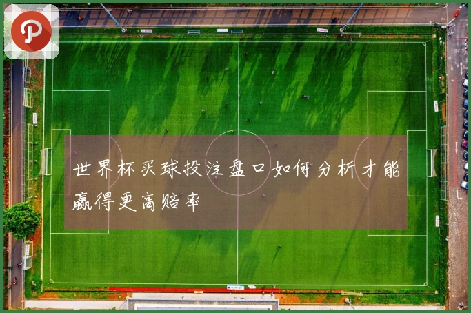 世界杯买球投注盘口如何分析才能赢得更高赔率