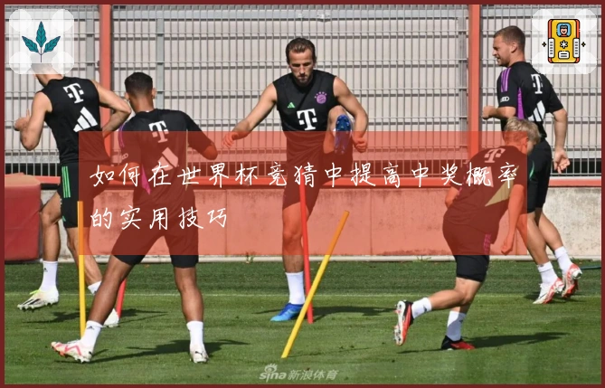 如何在世界杯竞猜中提高中奖概率的实用技巧