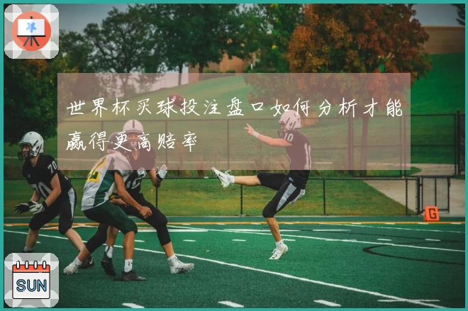 世界杯买球投注盘口如何分析才能赢得更高赔率